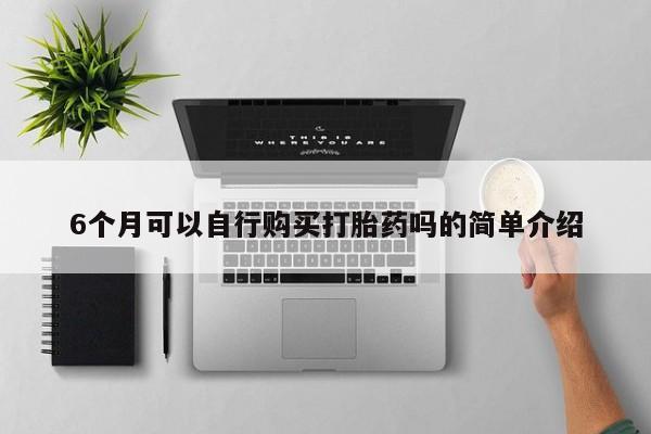 私人药店有打胎药6个月可以自行购买打胎药吗的简单介绍